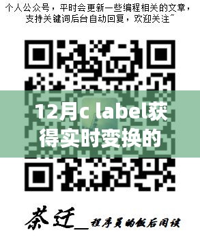十二月C語言標(biāo)簽實現(xiàn)動態(tài)數(shù)據(jù)獲取，實時變化值獲取方法