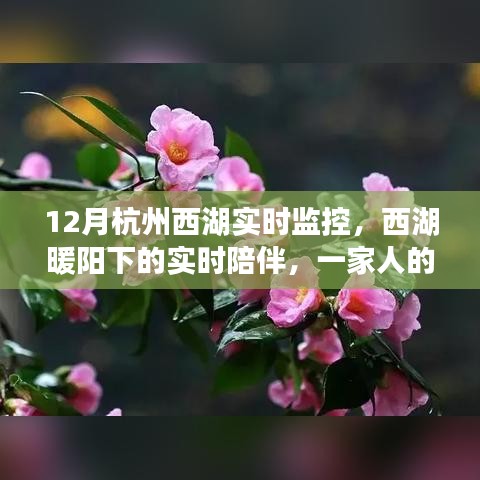 西湖暖陽(yáng)下的溫馨時(shí)光，家庭實(shí)時(shí)陪伴與監(jiān)控記錄