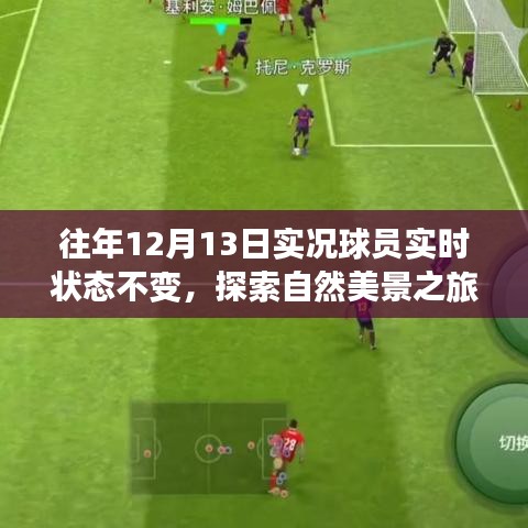 12月13日，球場激情與心靈寧靜的自然探索之旅