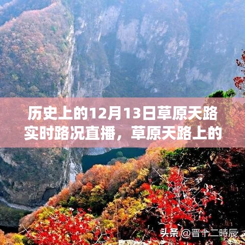 歷史上的草原天路，暖心直播見證友誼與陪伴的溫馨故事