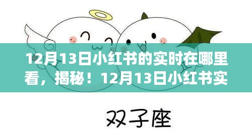 揭秘新功能，如何查看12月13日小紅書實時動態(tài)，科技魅力重塑生活體驗！
