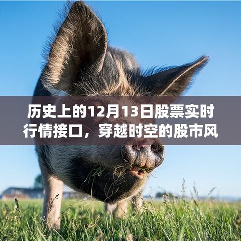 探尋歷史上的股票風(fēng)云，揭秘股市行情接口穿越時(shí)空之旅——以十二月十三日為例