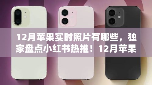 獨家盤點小紅書熱推！12月蘋果實時照片精選，美到心醉的瞬間