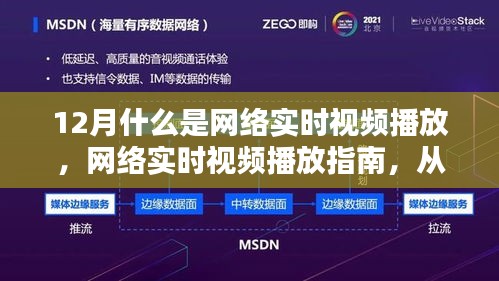 網(wǎng)絡(luò)實(shí)時(shí)視頻播放詳解，從入門到精通的指南（適合初學(xué)者與進(jìn)階用戶）
