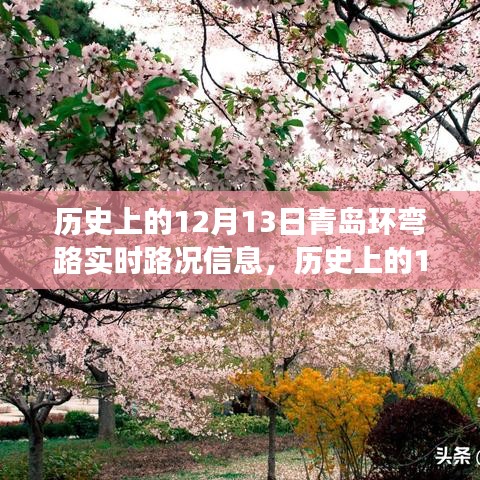 青島環(huán)彎路逆風(fēng)砥礪行，歷史上的路況變遷與勵(lì)志篇章