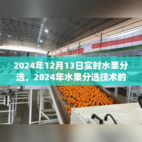 2024年水果分選技術(shù)革新之旅，實時分選進展與影響