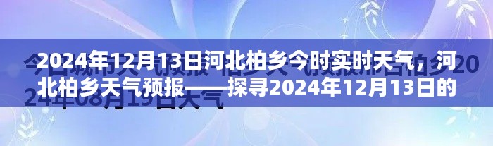 河北柏鄉(xiāng)天氣預(yù)報(bào)揭秘，探尋2024年12月13日的天氣奧秘