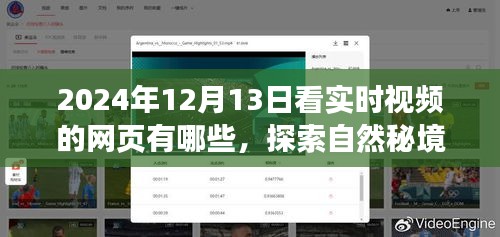 探索自然秘境，揭秘實時觀景網站引領心靈之旅的絕佳選擇（2024年實時視頻網頁推薦）
