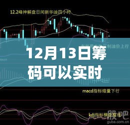 揭秘，12月13日籌碼實(shí)時監(jiān)控之旅，自然、內(nèi)心與籌碼的交響樂