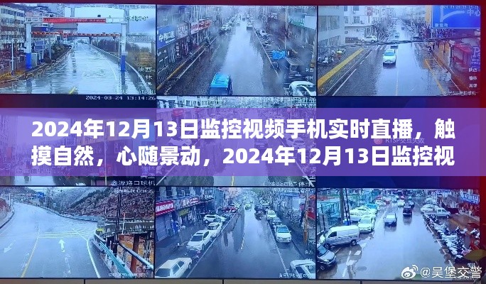 觸摸自然，心隨景動(dòng)，2024年12月13日監(jiān)控視頻手機(jī)實(shí)時(shí)直播大自然之旅