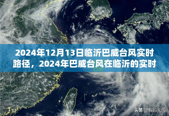 巴威臺(tái)風(fēng)實(shí)時(shí)路徑追蹤深度分析，臨沂地區(qū)臺(tái)風(fēng)動(dòng)態(tài)與影響