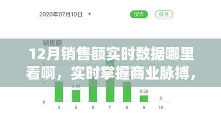 實(shí)時(shí)掌握商業(yè)脈搏，12月銷售額數(shù)據(jù)平臺(tái)深度評(píng)測與實(shí)時(shí)數(shù)據(jù)查看指南