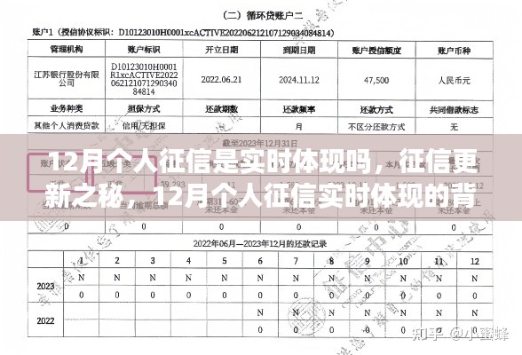 揭秘，12月個(gè)人征信實(shí)時(shí)更新背后的影響與洞察