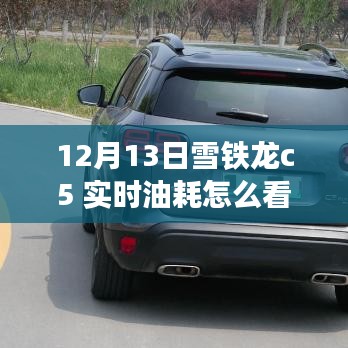 揭秘雪鐵龍C5實時油耗查看方法與駕駛秘籍，探尋小巷特色小店！