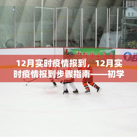 12月實(shí)時(shí)疫情報(bào)到全程指南，從初學(xué)者到進(jìn)階用戶的必備參考