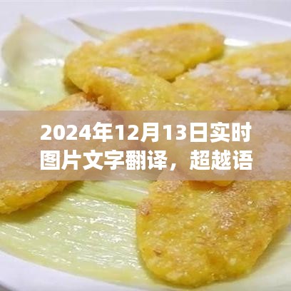 超越語言界限，實時圖片文字翻譯的魅力與勵志故事——2024年12月13日紀實標題