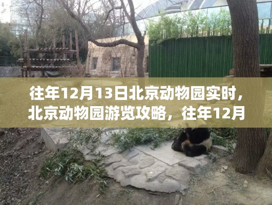 往年12月13日北京動(dòng)物園游覽攻略，完美體驗(yàn)指南