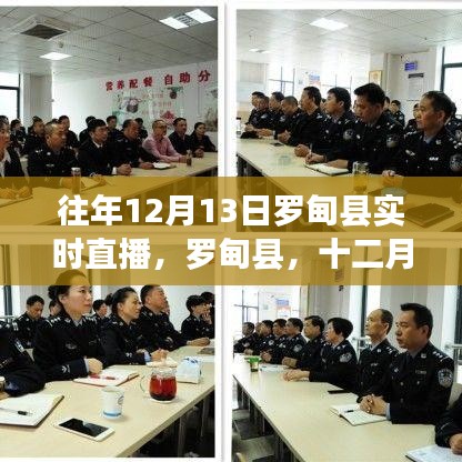 羅甸縣直播日回顧與影響深度解析，十二月十三日的直播紀實