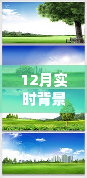 探索自然秘境，12月實(shí)時(shí)背景摳圖素材帶你踏上寧?kù)o之旅