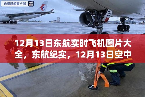 東航實(shí)時(shí)飛機(jī)紀(jì)實(shí)，空中巨翼的翱翔與影響，12月13日實(shí)拍圖片大全