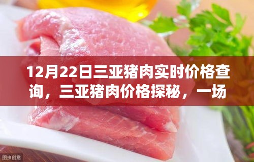 三亞豬肉價格探秘，一場尋找價格與心靈平靜的旅行之旅