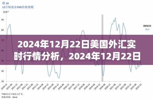 獨家解析，2024年12月22日美國外匯實時行情深度解讀與市場走勢預(yù)測