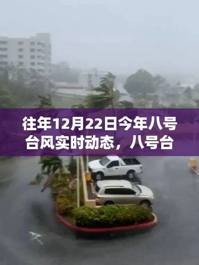 八號臺風(fēng)下的溫馨日常，特殊時光的共度與記錄