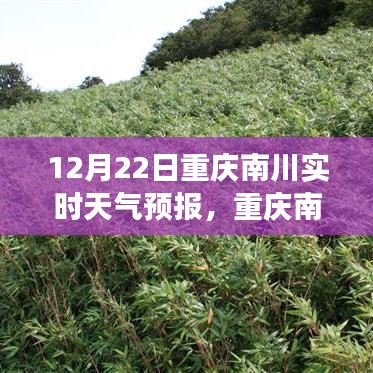 重慶南川天氣預(yù)報之旅，變化中的學(xué)習(xí)，鑄就自信與力量的未來