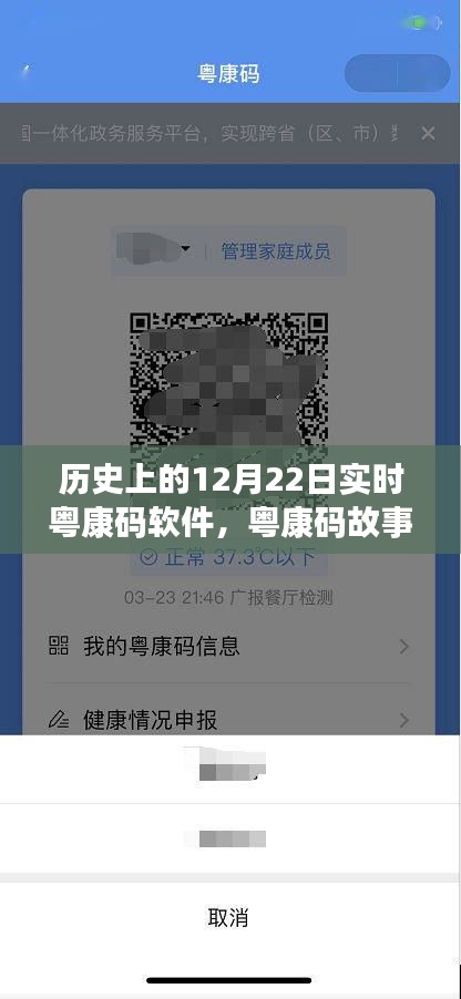 粵康碼軟件，日常與特殊時刻的溫馨故事紀實（實時更新至12月22日）