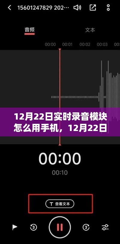 12月22日實(shí)時錄音模塊手機(jī)應(yīng)用解析與使用之道，多方觀點(diǎn)碰撞