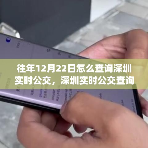 深圳實(shí)時(shí)公交查詢攻略，往年12月22日如何輕松獲取公交實(shí)時(shí)信息（初學(xué)者與進(jìn)階用戶指南）