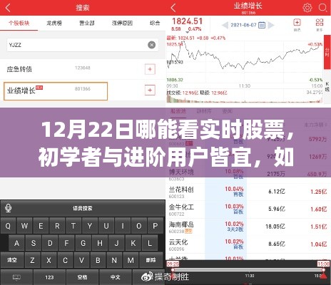 12月22日實時股票行情查看指南，適合初學者與進階用戶的詳細步驟