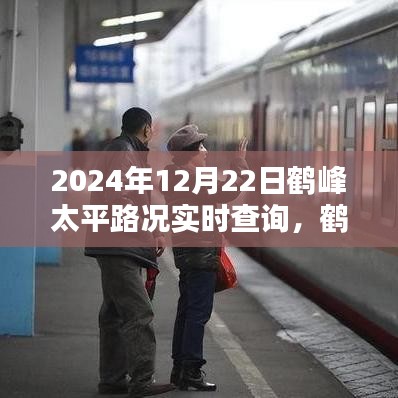 鶴峰太平路況實(shí)時(shí)查詢指南，2024年12月22日出行必備路況信息