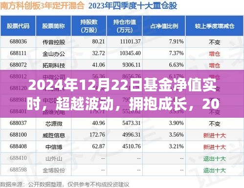 揭秘基金凈值背后的故事，超越波動(dòng)，擁抱成長，探尋2024年12月22日基金凈值實(shí)時(shí)動(dòng)態(tài)