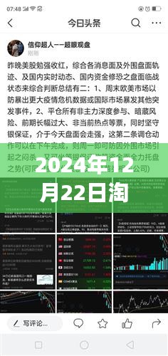 淘金客的自然之旅，尋找內(nèi)心的寧靜與自然的魔法——實時解盤 2024年12月22日