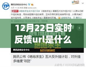 揭秘，12月22日實(shí)時(shí)反饋URL的含義與成就感的源泉