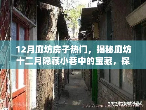 揭秘廊坊十二月隱藏小巷中的寶藏房源與特色小店故事，探尋獨(dú)特魅力房源的奇妙之旅