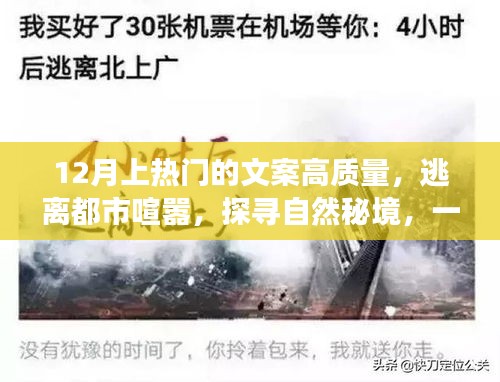 探尋自然秘境，心靈之旅，逃離都市喧囂的十二月熱門文案