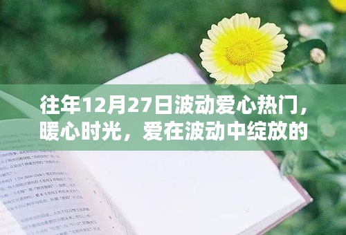 12月27日愛心熱潮涌動，暖心時光記錄溫馨日常中的愛之波動