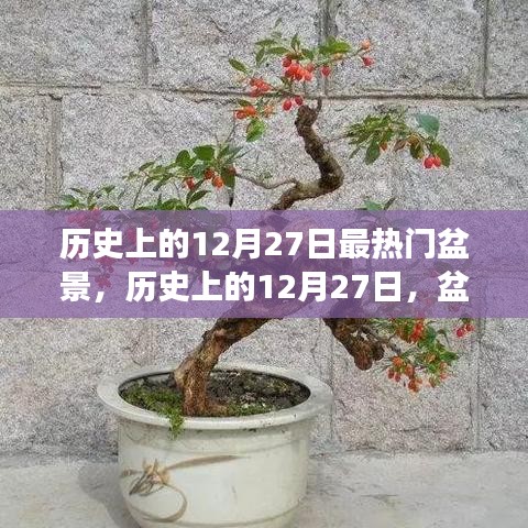 揭秘歷史上的盆景熱潮，探尋盆景背后的故事與種子力量，領(lǐng)略變化與自信的魅力