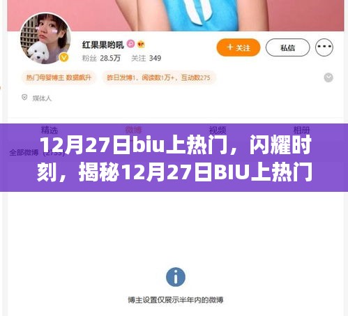 揭秘，12月27日BIU熱門背后的閃耀時(shí)刻與奇妙網(wǎng)絡(luò)世界之旅