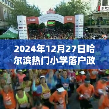 哈爾濱熱門小學(xué)落戶政策深度解讀與評(píng)測(cè)，以最新數(shù)據(jù)為例