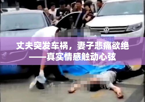 丈夫突發(fā)車禍，妻子悲痛欲絕——真實(shí)情感觸動(dòng)心弦