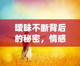 曖昧不斷背后的秘密，情感糾纏引人深思