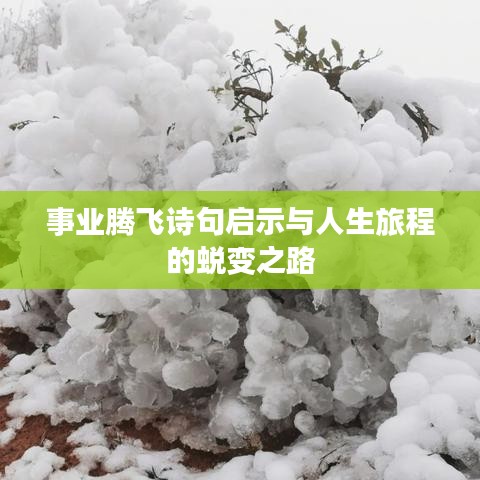 事業(yè)騰飛詩(shī)句啟示與人生旅程的蛻變之路