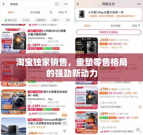 淘寶獨(dú)家銷售，重塑零售格局的強(qiáng)勁新動(dòng)力