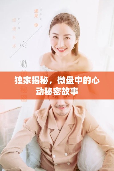 獨家揭秘，微盤中的心動秘密故事