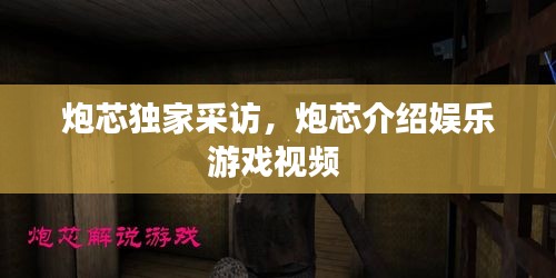 炮芯獨(dú)家采訪，炮芯介紹娛樂游戲視頻 