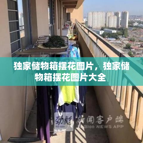 獨(dú)家儲物箱擺花圖片，獨(dú)家儲物箱擺花圖片大全 