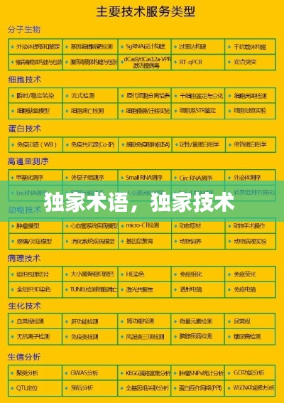 獨家術(shù)語，獨家技術(shù) 